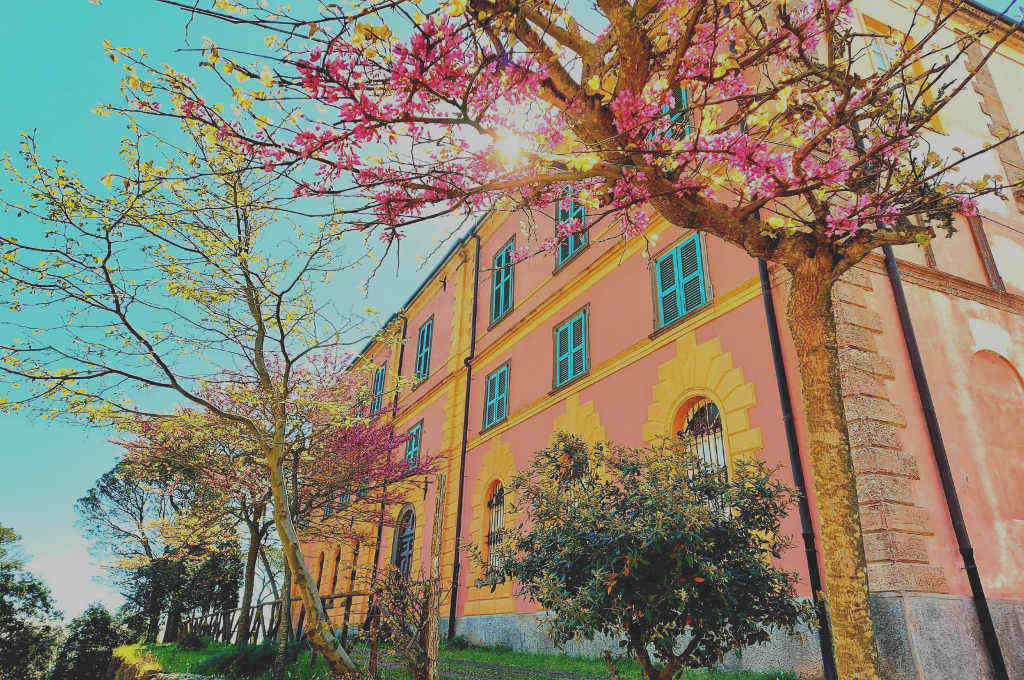 Palazzo della Direzione di Montevecchio